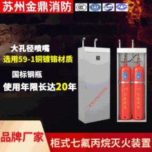 无管网七氟丙烷气体灭火器 柜式七氟丙烷灭火装置 机房配电房用