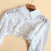 Lace universal false collar, demi-season shirt