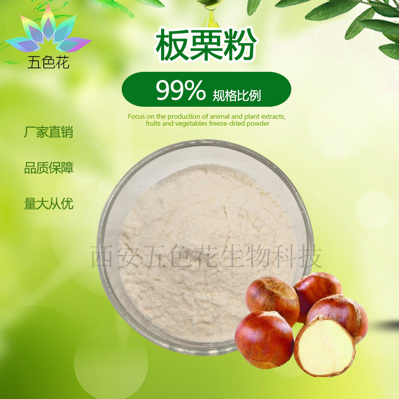 板栗粉99% 栗子粉 源头厂家 板栗提取物 栗子仁粉 量大从优 现货