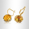 Fashionable earrings, crystal earings, internet celebrity, with gem, wholesale