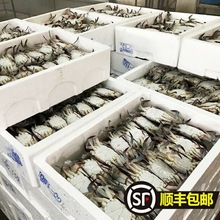 ��S���]10���r���ك��ʝM�r������з���з