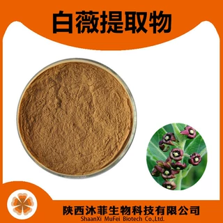 白薇提取物10-1 比例白薇 白马尾提取物陕西沐菲 现货白薇速溶粉