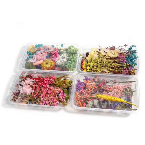 Floating flowers, dried flowers, preserved flowers, DIY glue filled flower materials, mini embossed materials, Yunnan dried flowers wholesale