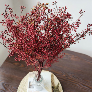 ������������l  С�׹�  �Ҿ��b���  �^���  ���yɫ �tɫ