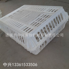 �D�\�u�\ �����\���\ ��ĥ�b�Z�� �����u��