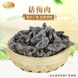 厂家批发九制话梅肉 凉果蜜饯酸梅肉干 杏脯肉干休闲零食水果干