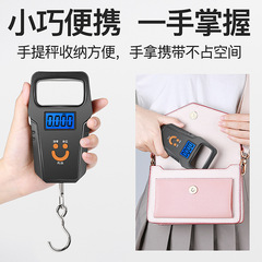 廠家直銷手提秤掛秤電子秤商用迷你廚房50kg便攜式快遞吊鈎外賣稱