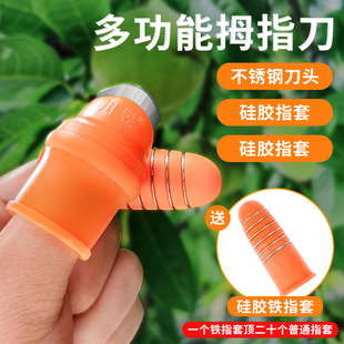�N���������˶���Ĵָ���������ժ����ָ�׶�ָ�׶�����ָ��ժ��