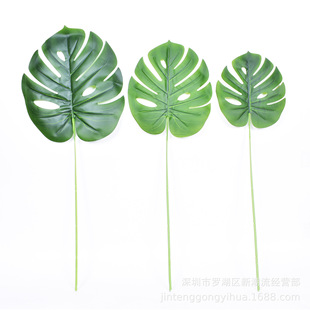 ɭϵ����ֲ�������~�ҾӾGɫ��֧���~�k���b��L�������Gֲ���쾰