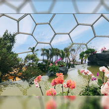 ETFE膜结构 透明气泡膜结构，体育馆建筑，ETFE气枕膜材厂家批发