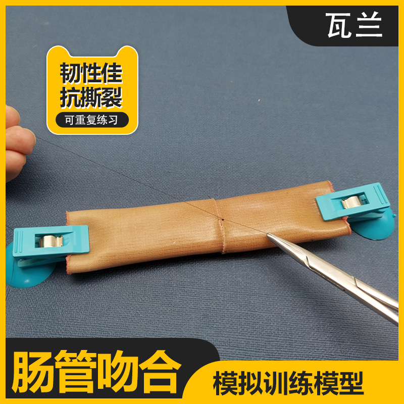 Medical students suture practice simulated intestinal anastomosis end-to-side anastomosis training model medical teaching mold