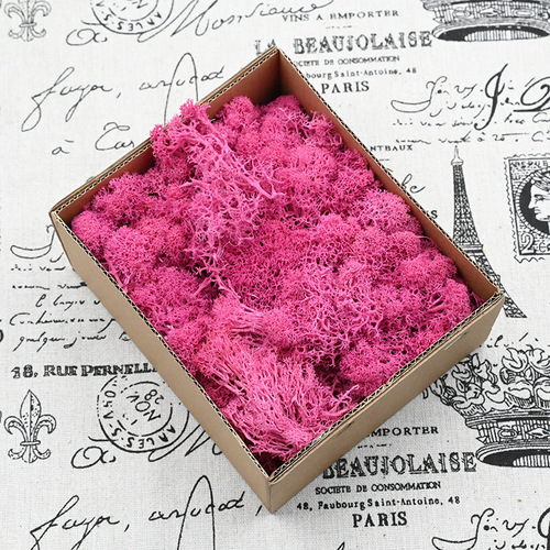 Magic flower immortal flower moss boxed 100G/box flower material package diy dried flowers real flowers plant wall green plants fluffy