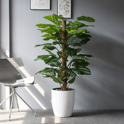 花植爱懒人花盆 圆形大号白色塑料北欧客厅自吸水懒人花盆 批发