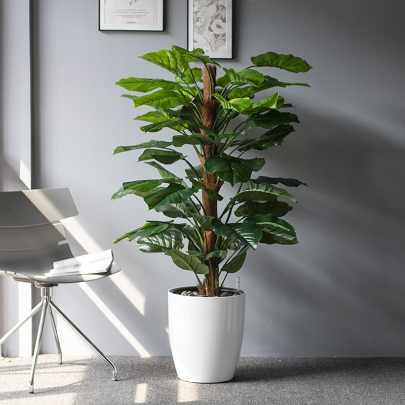 花植爱懒人花盆 圆形大号白色塑料北欧客厅自吸水懒人花盆 批发