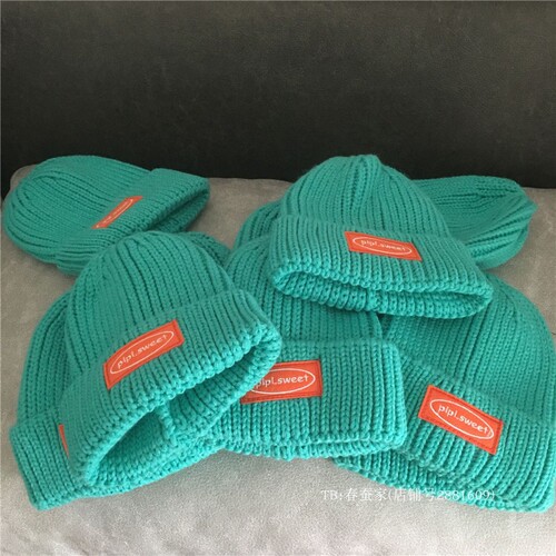 Sweet, cute and cool~Lake blue woolen hat for women, embroidered patch thick woolen hat, winter Korean style knitted hat