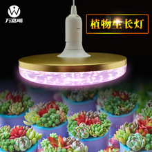 ȫ���Vֲ�����L��ufo�w����������������m�����ü��ö����a���