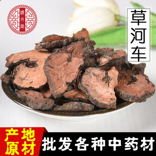 Դ����Ʒ�| ��ș�����l�ݺ�܇ �䱳ș��Ʒ�N�Rȫ��Ѫ���υ�һ��Ѫ