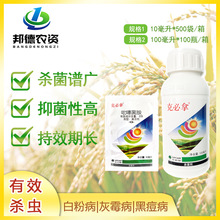 �˱���20%��������߲�ˮ���S�Ϸ������Ѱ׷۲���ù���rș������