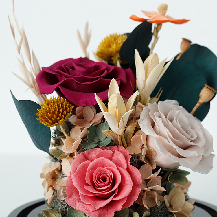 Yunnan inmortalidad flor japonesa cubierta de vidrio tricolor rosa pequeña flor del príncipe tiempo flores secas regalos de San Valentín al por mayor