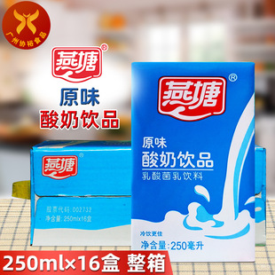 ���� ԭζ�����Ʒ250ml*16�� ����l�����������Ͻ����Lζ���