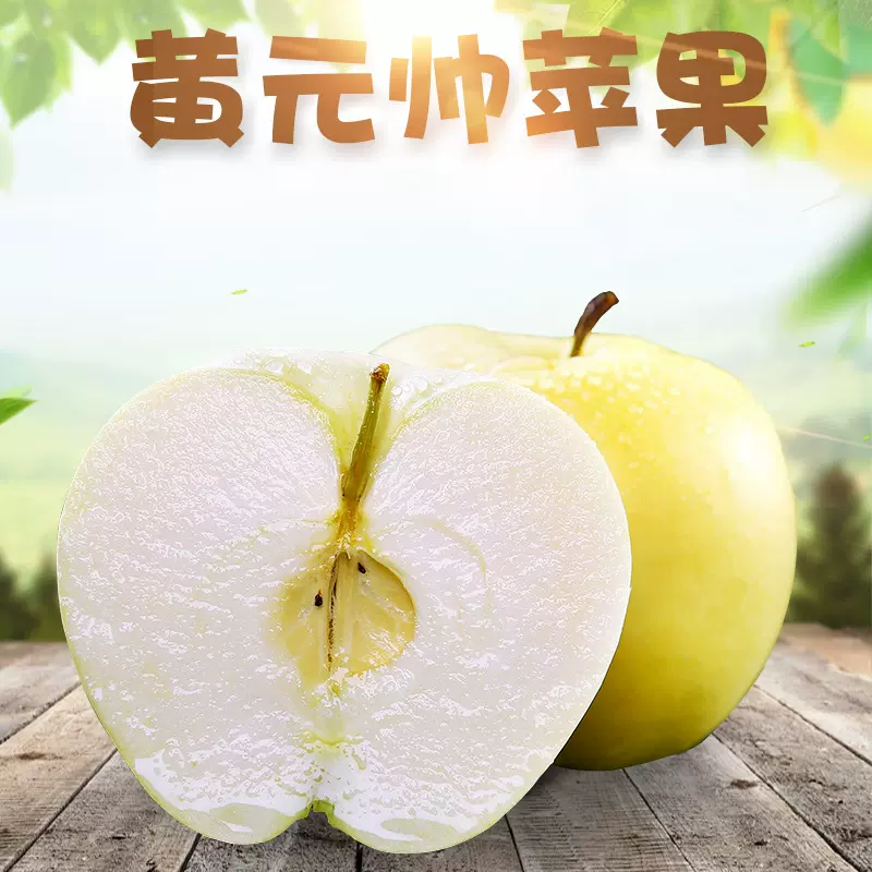 大连黄元帅苹果 代发5斤新鲜粉面刮泥黄金帅酸甜孕妇水果非红富士