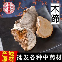 灵芝大全木蹄 木蹄层孔菌 长白山地区裂蹄灵芝 一件大发量大从优