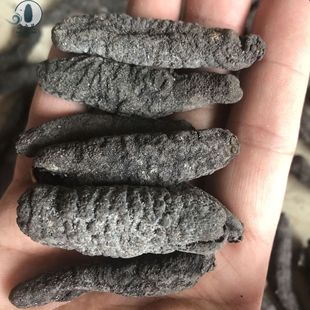 ���lС����С�u�������l��С�څ� ������؛100�^Դ�^؛����r��