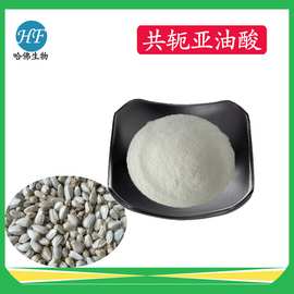共轭亚油酸粉60% 共轭亚油酸甘油酯粉 CLA粉 共轭亚油酸