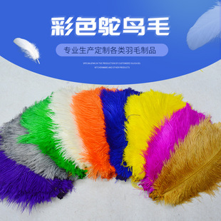 ��ɫ20-25cm�r�B��ë���r�Bë���r�Bβë���r�B�����ë