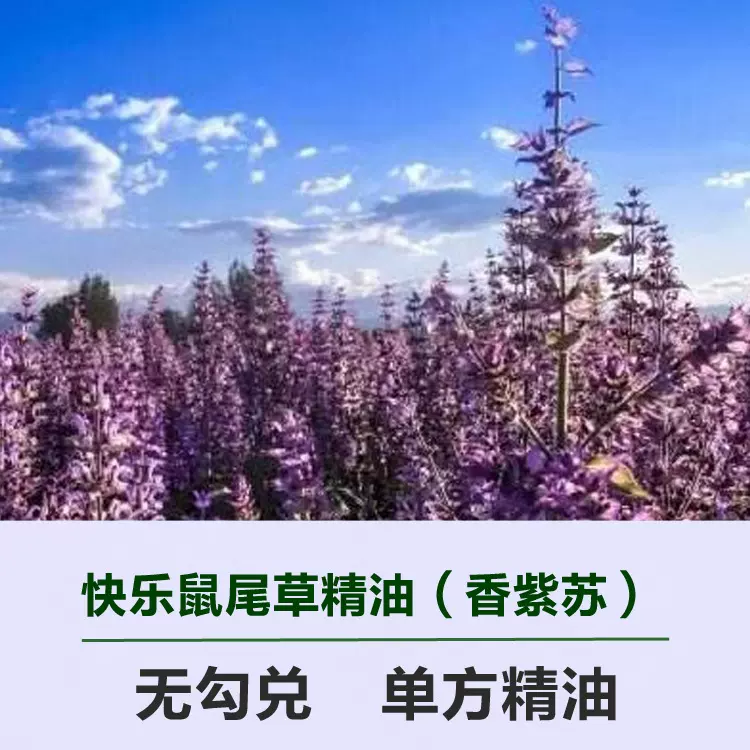 厂家供应无勾兑快乐鼠尾草精油单方精油批发南欧丹参油香紫苏精油