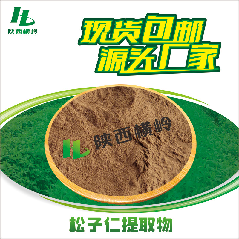 松子仁提取物 30:1松子仁粉 松子实/松子提取物 水溶原料 1KG起订