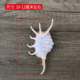 ��Ȼ����ؐ���߽�֩��ϐ���ݵ�̨�~���b�ˮ�����쾰�[���Ĕz����