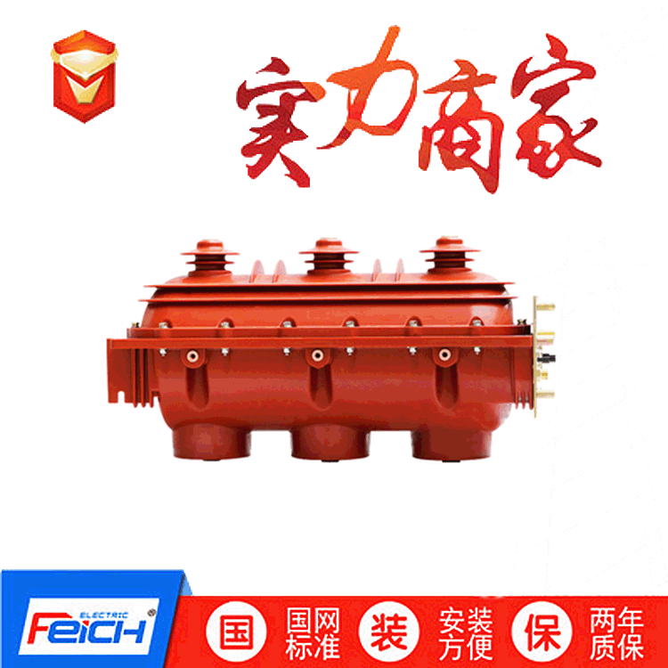 FLN36-12D-T 六氟化硫 FLN36-12RD/630  六氟化硫断路器厂家直消