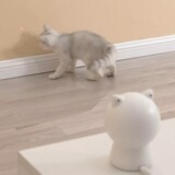 Xiaomi Yinni Smart Red Cat Toys Mobile App Пульт дистанционное управление поставками кошек лазерные ручки дразнят кошки спорт