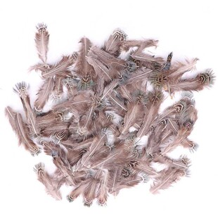�S�Ҷ���С��ë�Ʒ���Ұ�uëdiy�ֹ��b����g��؈䁉��W����