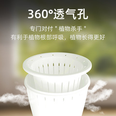 桌面懶人花盆自動吸水盆簡約白色全新樹脂盆辦公室圓形水培自吸盆