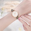 Fanmira brand watch a one -piece INS women's temperament student watch wholesale middle school student explosion P0511
