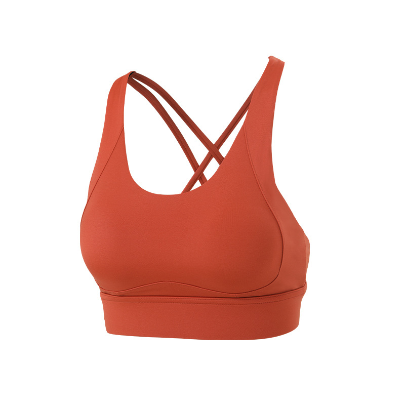 다크 다크 브라운 레드