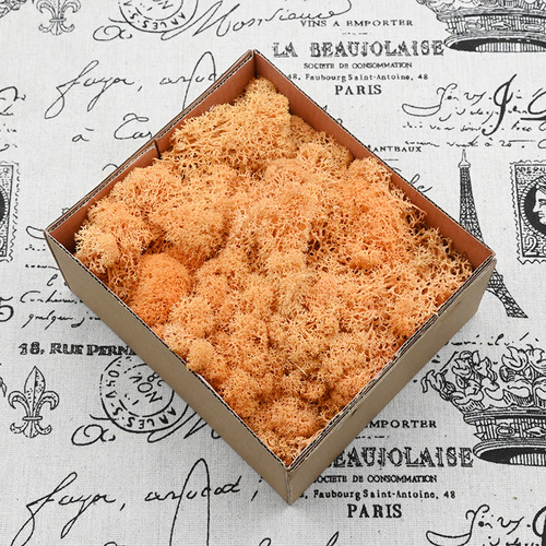 Magic flower immortal flower moss boxed 100G/box flower material package diy dried flowers real flowers plant wall green plants fluffy