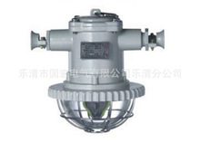 厂家销售 DGS18/127Y（H）矿用型荧光灯