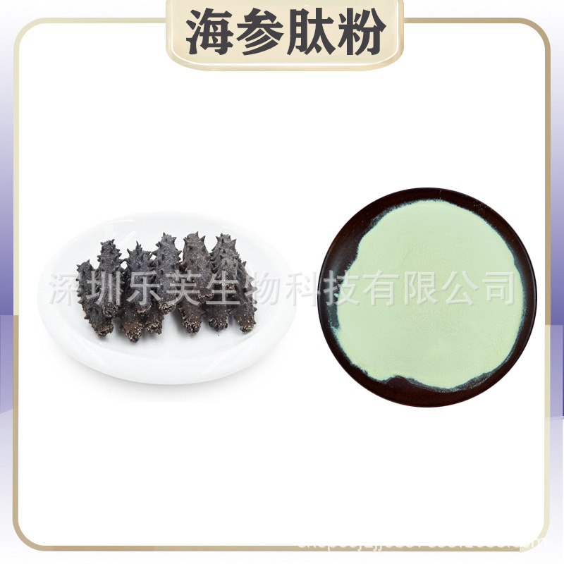 海参肽  海参低聚肽粉 海参提取物小分子蛋白肽粉 100克/袋