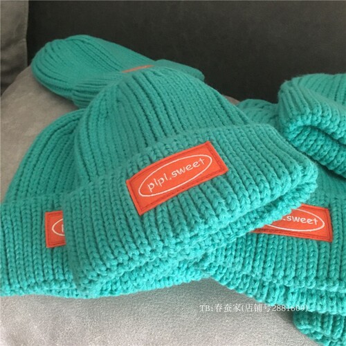 Sweet, cute and cool~Lake blue woolen hat for women, embroidered patch thick woolen hat, winter Korean style knitted hat