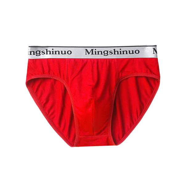 Triangle Modal Great Silver Border: Red