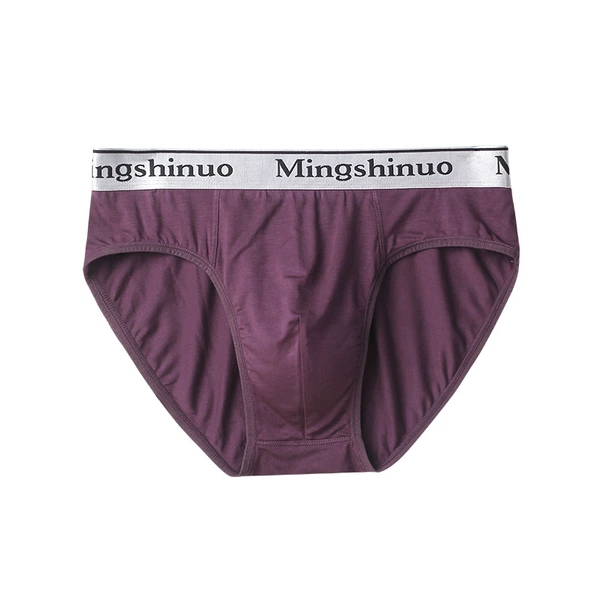 Triangle Modal Great Silver Border: Purple