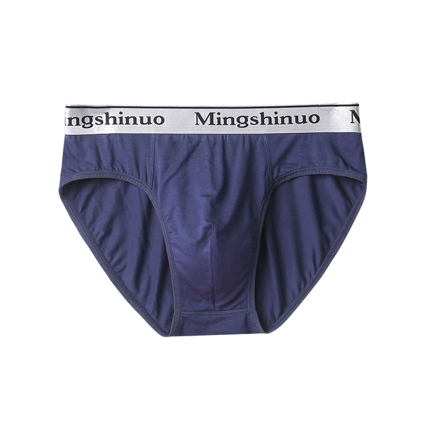 Triangle Modal Great Silver Border: Blue