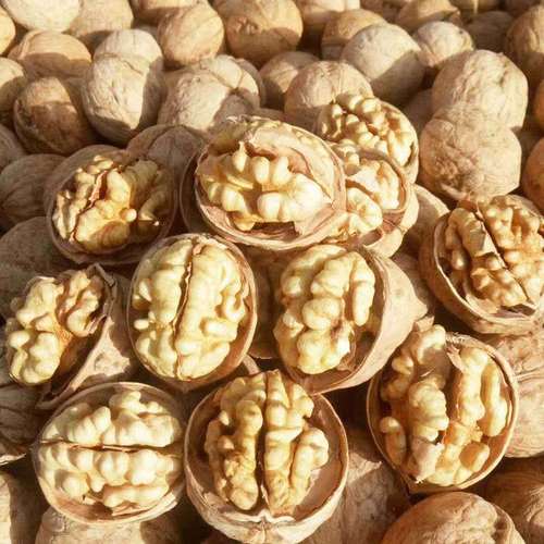 New Arrival Xinjiang 185 Paper-pulp Walnuts, Xinjiang Walnuts, Hand-crackable Paper-pulp Walnuts, 500g Bag Packaging