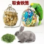 啃咬拉丝鹦鹉兔子玩具