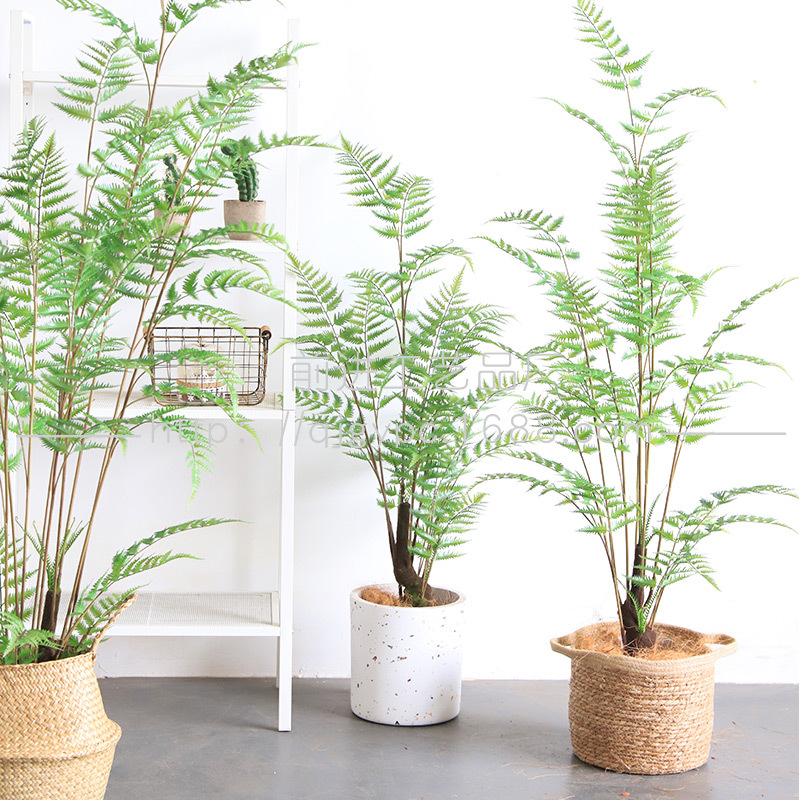Spot wholesale oxygen forest plant potted Sawleaf fern green plant engineering soft display Fern bonsai green plant