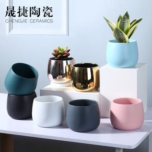 �����մ�С�������l���Wins������ˮ�໨���մɔ[���G�}����