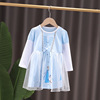 Autumn small princess costume, dress with sleeves, European style, children's clothing, “Frozen”, long sleeve